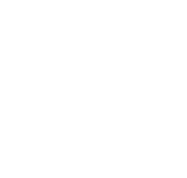 Icon-Muscles